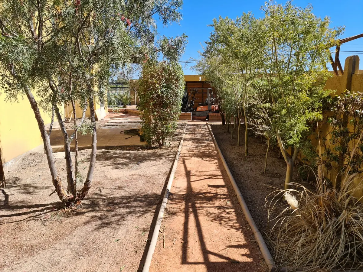 Jardín con sendero y vegetación