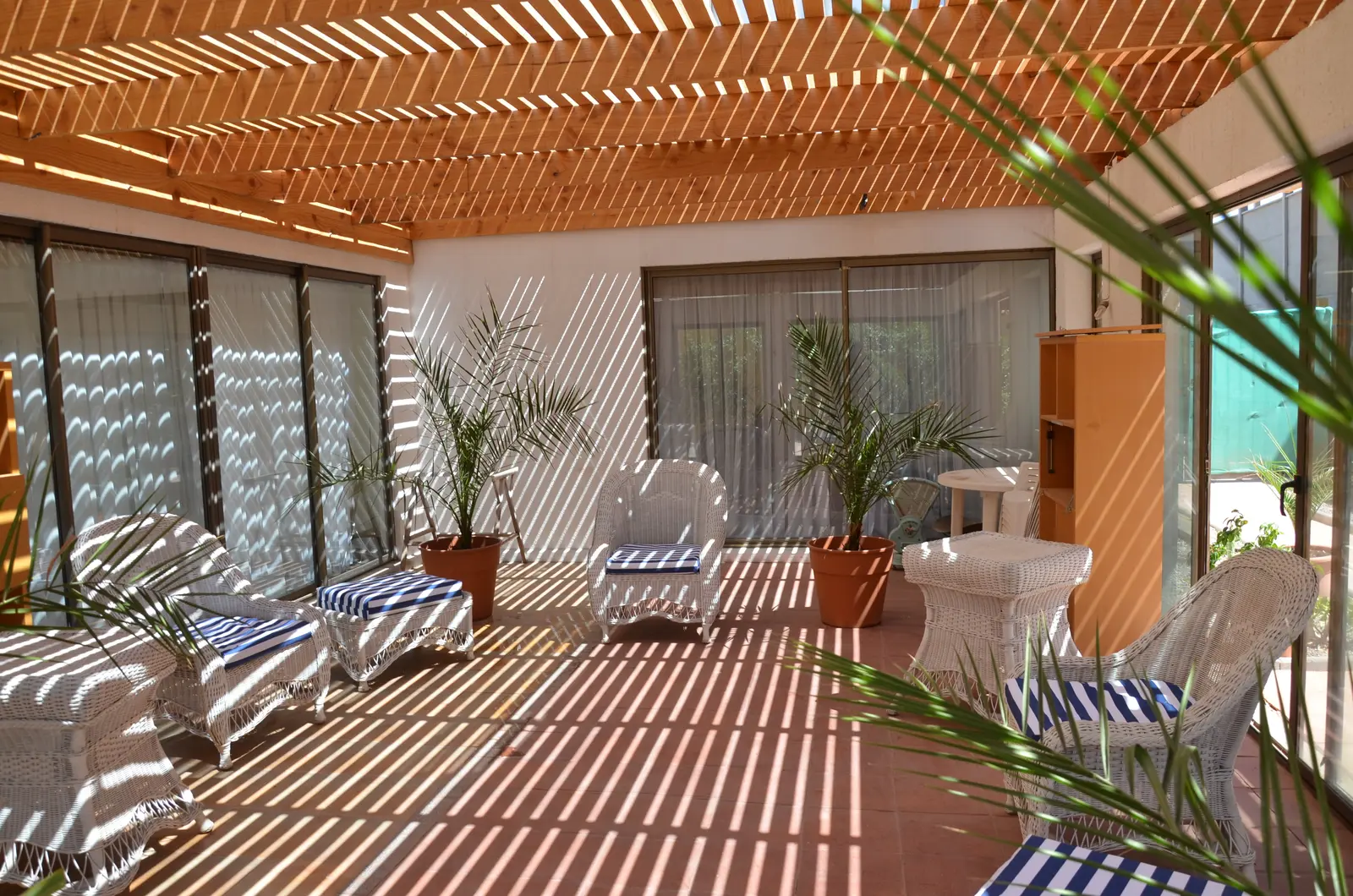 Terraza cerrada con luz natural y plantas